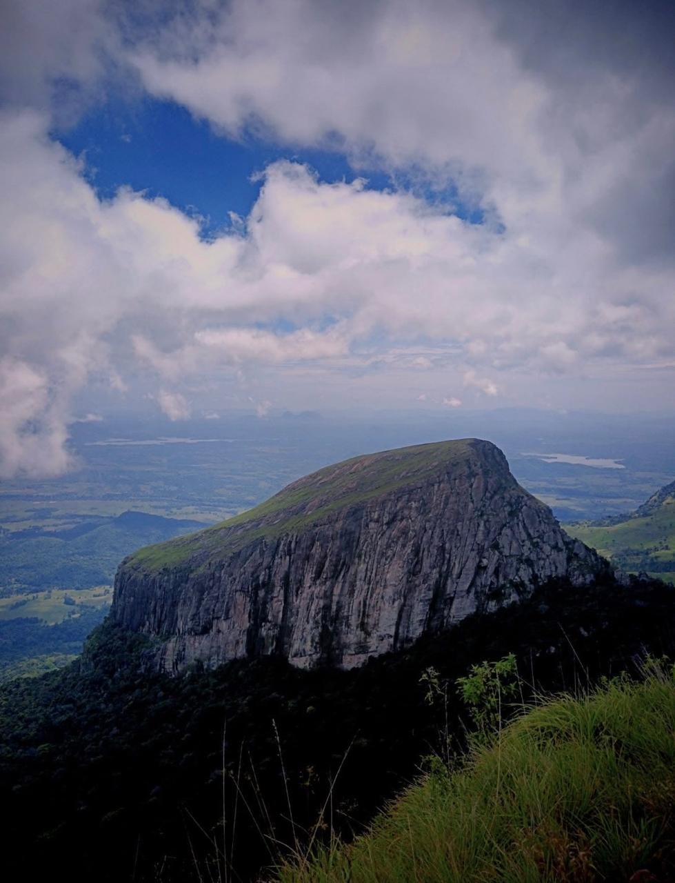 Shenaya Plantation - WhatsApp Image 2025 09 21 at 17.55.00 584ead84